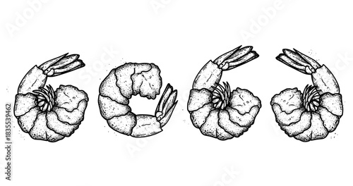Monochrome shrimp illustration: detailed sketch in black and white stippled style