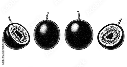 Hand-drawn passion fruit cross-sections in vintage style