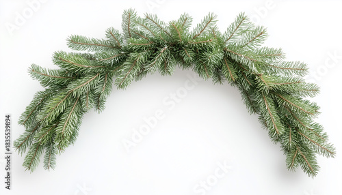 arch of christmas tree branches isolated on white background