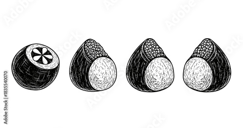 Engraved cross-sectional citrus fruits: detailed illustration of orange segments