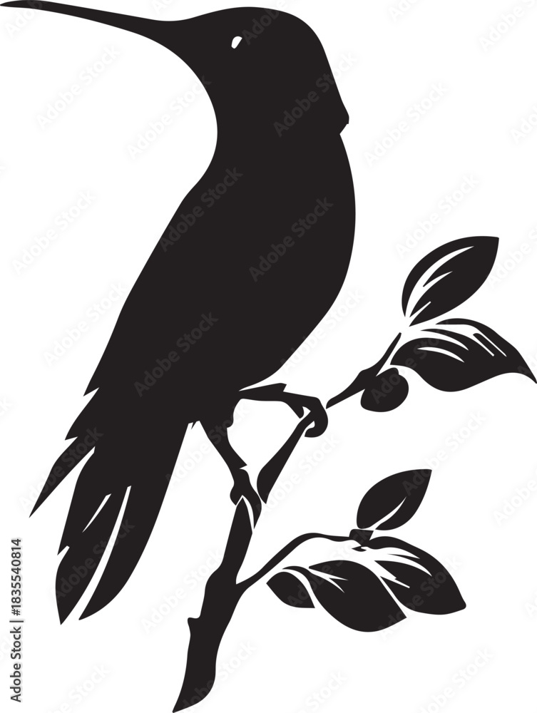 Obraz premium Silhouette of hummingbird with sitting on branch vector on white background
