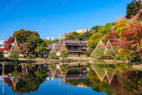 東京都文京区 紅葉の肥後細川庭園