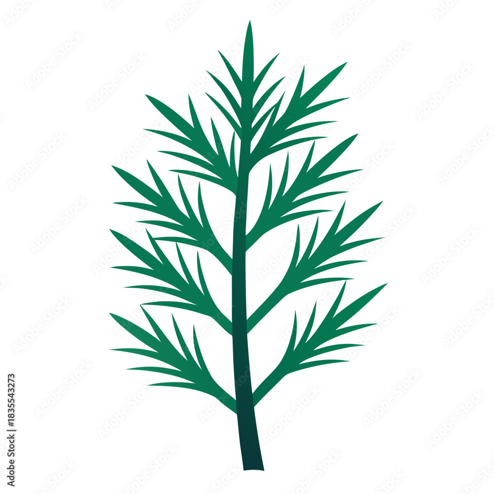 Obraz premium Stylized dill plant illustration on white background for design purposes