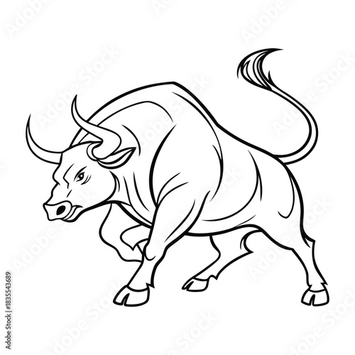 Powerful bull charging forward, isolated line art illustration of a muscular bovine animal Vector
