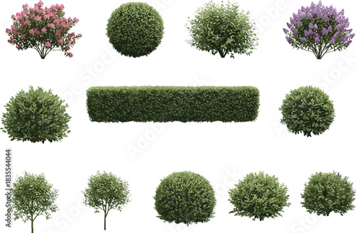 Vector Collection of Diverse Garden Bushes, Topiary Shrubs, and Flowering Plants with Green Hedges, Perfect for Landscaping and Architectural Design.