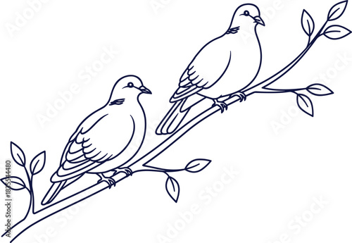 Vector illustration of two turtle doves perched on tree branch, black outline sketch style, isolated on white background for coloring book pages.