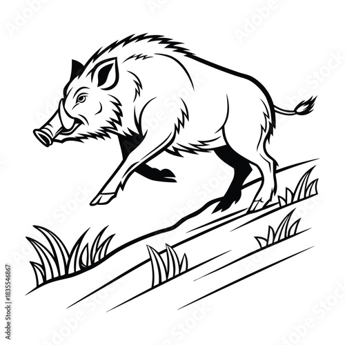 Running wild boar illustration with tusks and bristly mane, dynamic motion on grassy slope Vector
