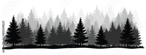 Pine Trees Silhouettes Vector Illustration Featuring Evergreen Coniferous Forest Shapes, Nature Spruce Tree Landscape Views, and Woodland Elements for Outdoor Design and Scenic Background Projects