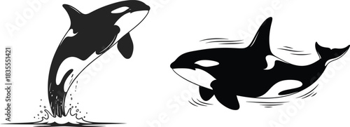 Orca whale silhouette set, jumping and swimming killer whale illustration
