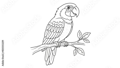 Detailed Parrot on Branch Line Art Drawing for Coloring