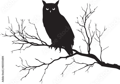 Owl sitting on branch silhouette black vector on white background