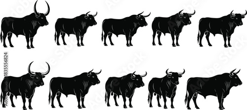 Bull Steer Cattle Silhouette Collection Set of Farm Animal Poses Horns Design Flat Vector Illustration Meat Ranch Print CAD Drawing Graphic.