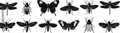 Dragonfly Moth Beetle Silhouette Collection Set of Flying Bug Designs Flat Vector Illustration Entomology Biology Print CAD Drawing Graphic.