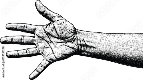 Human Hand Open Palm Detailed Stipple Drawing Engraving Style Artwork Anatomy Vector Illustration Print Poster Sticker CAD Drawing.