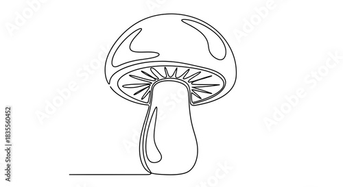 Continuous line art illustration of a minimalist mushroom on a clean white background Vector