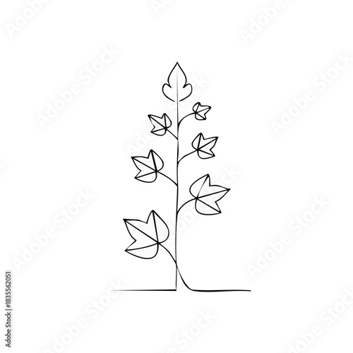 Elegant Ivy Plant Drawing Single Line Black and White Illustration