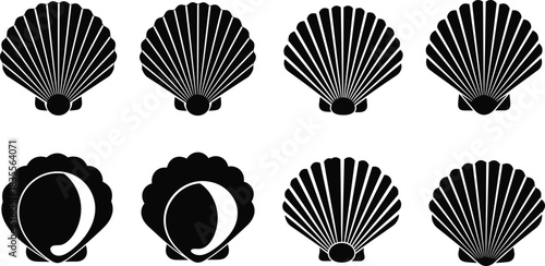 Scallop Seashell Silhouette Collection Set of Ocean Beach Clam Shell Design Flat Vector Illustration Sea Life Print Sticker CAD Drawing Graphic.
