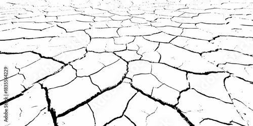 High-contrast cracked dry earth texture with bold black fractures on a white surface. Minimalist abstract background ideal for environmental themes, climate change concepts, and graphic design use.
