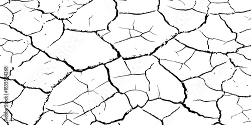 High-contrast cracked dry earth texture with bold black fractures on a white surface. Minimalist abstract background ideal for environmental themes, climate change concepts, and graphic design use.