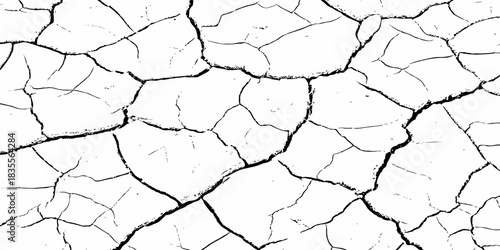 High-contrast cracked dry earth texture with bold black fractures on a white surface. Minimalist abstract background ideal for environmental themes, climate change concepts, and graphic design use.