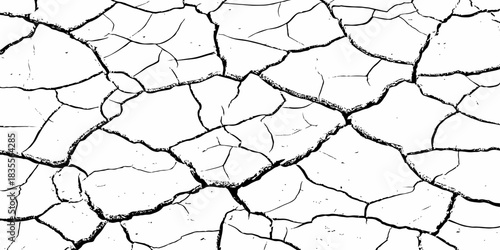 High-contrast cracked dry earth texture with bold black fractures on a white surface. Minimalist abstract background ideal for environmental themes, climate change concepts, and graphic design use.