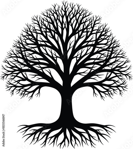 Detailed black and white silhouette of a mature tree with intricate roots spreading outward symbolizing growth strength and life isolated on white background