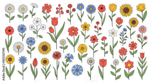 Large collection of colorful hand-drawn wildflower illustrations, including daisies, tulips, and sunflowers, isolated on a clean white background.