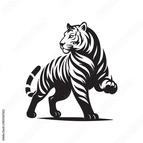 Walking Tiger Stripe Illustration