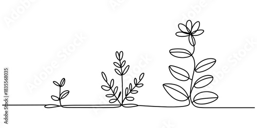 Continuous line art drawing illustrating the growth stages of a plant, from a small seedling sprout to a blooming mature flower. Vector, illustration