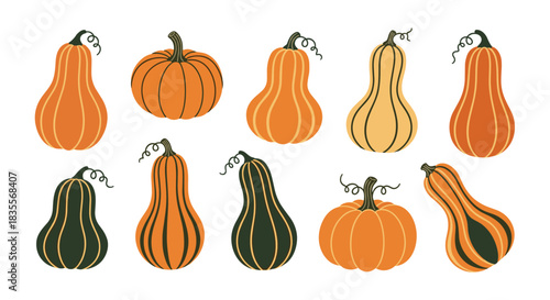 Autumn collection of ten stylized pumpkins and gourds in various shapes and patterns, illustrated in warm orange and green colors.