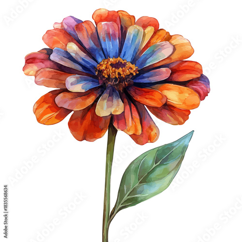 Zinnia Flower, beautiful watercolor illustration with vivid colors and detailed vector style, isolated on a white background.