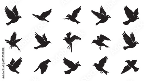 Set of flying bird silhouettes vector illustration of various bird flight poses isolated on white background