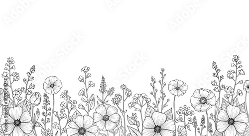 Seamless horizontal border of beautiful hand-drawn wildflowers, featuring poppies and other meadow blossoms in a detailed black and white ink sketch style.
