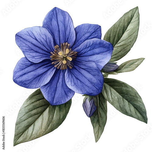 Scaevola Flower, beautiful watercolor illustration with vivid colors and detailed vector style, isolated on a white background.