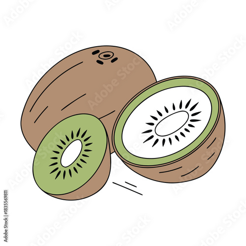 Illustration of whole and sliced kiwi fruit showing the fuzzy brown skin and vibrant green flesh with tiny black seeds, perfect for healthy eating concepts