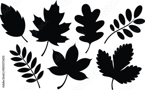 Black silhouette collection of various autumn leaves