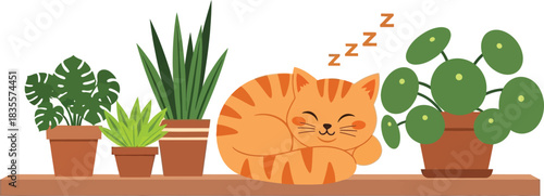 Adorable ginger kitten amongst houseplants on shelf whimsical cute domestic animal flora decor cute pet photography delightful scene isolated on white background