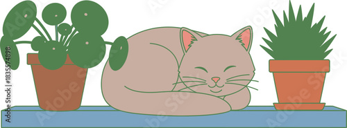 Cozy tabby cat napping peacefully on a shelf surrounded by potted houseplants a charming and relaxing scene isolated on white background