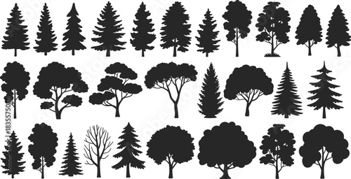 Large tree silhouette collection featuring diverse coniferous, deciduous, and leafless forms for design, educational, and nature themes.