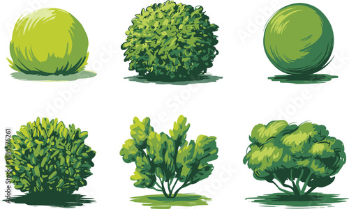 Stylized bush and shrub illustration set featuring diverse foliage shapes, textures, and trunk visibility for garden and landscape themes.