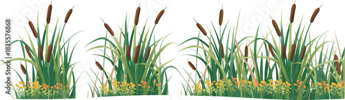 Stylized wetland vegetation illustration featuring cattails, grasses, and wildflowers for ecological, botanical, and educational design themes.