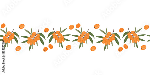 Sea buckthorn border, berry branch strip. Buckthorn berry seamless border, botanical edge. Botanical berry trim, sea buckthorn decorative strip