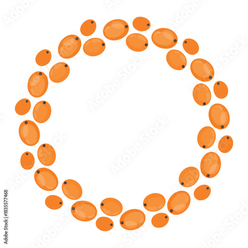 Sea buckthorn wreath, botanical berry ring. Buckthorn berry wreath, round frame. Orange berry wreath, natural decorative circle
