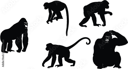 Primate Animal Silhouette Collection, Black and White Vector Art of Gorillas, Monkeys, and Apes in Various Poses for Wildlife Conservation and Zoo Display Design Isolated on White.