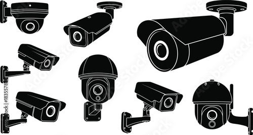 Frog and Tadpole Life Cycle Silhouette Set, Black Vector Illustrations of Amphibians, Frogs Standing and Jumping, Plus Tadpoles for Biology, Nature, and Scientific Graphic Design Isolated.