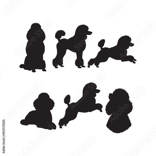 Poodle Silhouettes Collection, Poodle Silhouette, Dog Vector, Pet Illustration
