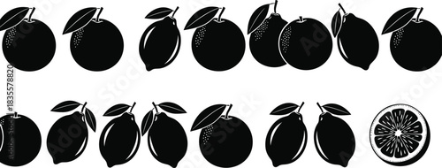 Set of various fresh whole and sliced citrus fruit silhouettes, including lemon, lime, and orange, isolated on white vector illustration