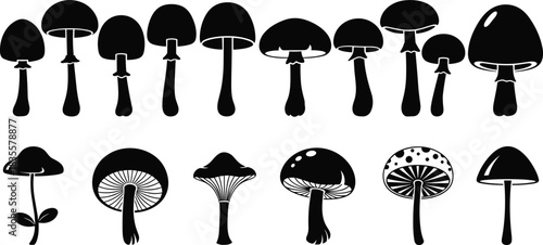 Set of various wild and edible mushroom silhouettes, fungus collection with different cap shapes, stems, and gills isolated on white