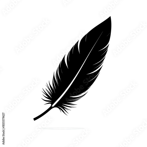 Silhouette of a feather