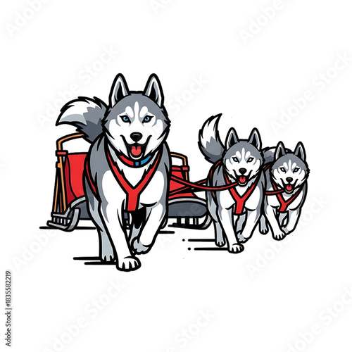 Three enthusiastic sled dogs ready for a snowy run.